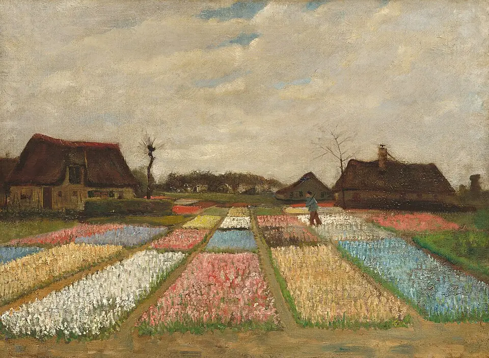 Bulb fields around Lisse